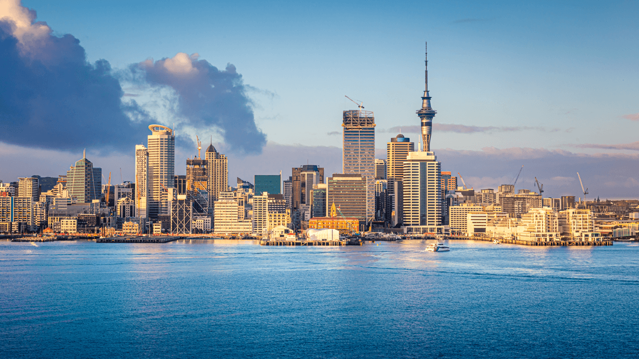 auckland web
