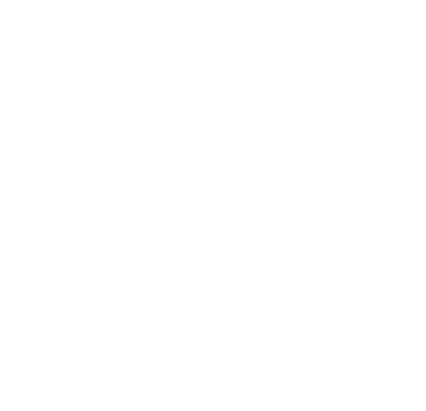 More Choice (Sister Fleets)